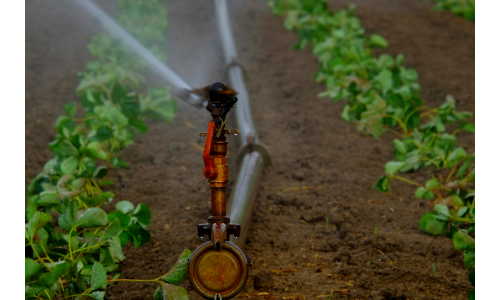 progettazione impianto irrigazione